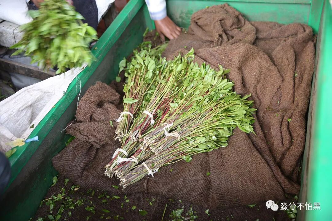 努力成为更好的自己说说_我愿努力成为你这一生的骄傲_索马里是哪个国家