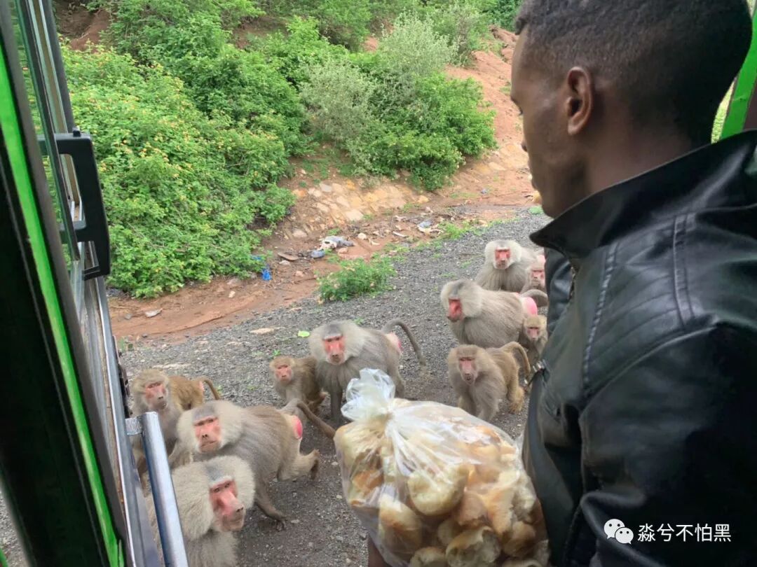 索马里是哪个国家_我愿努力成为你这一生的骄傲_努力成为更好的自己说说