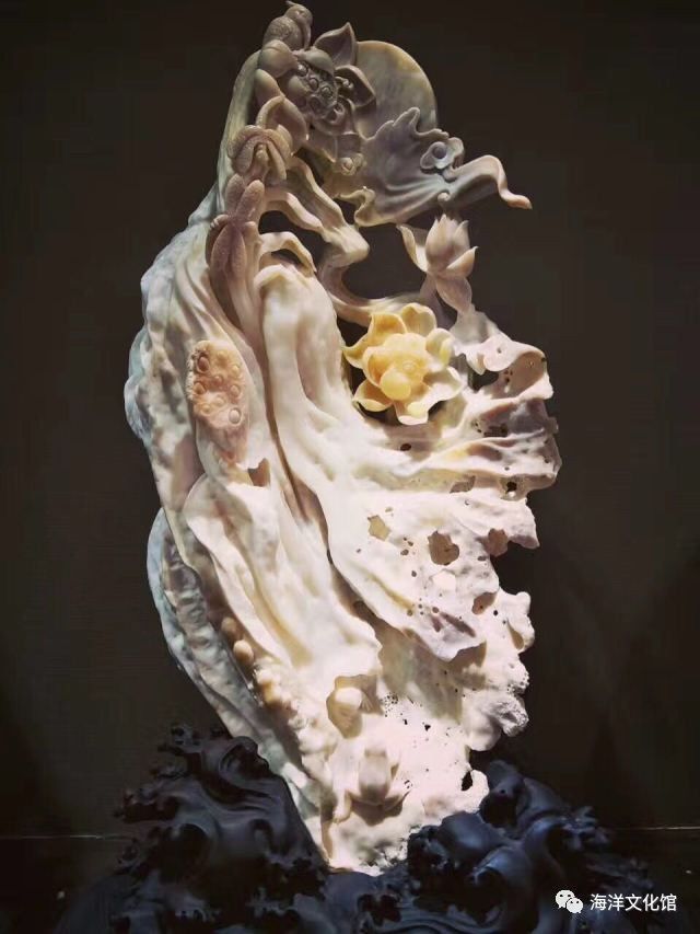 富有前景的海洋之魂宝——海底玉