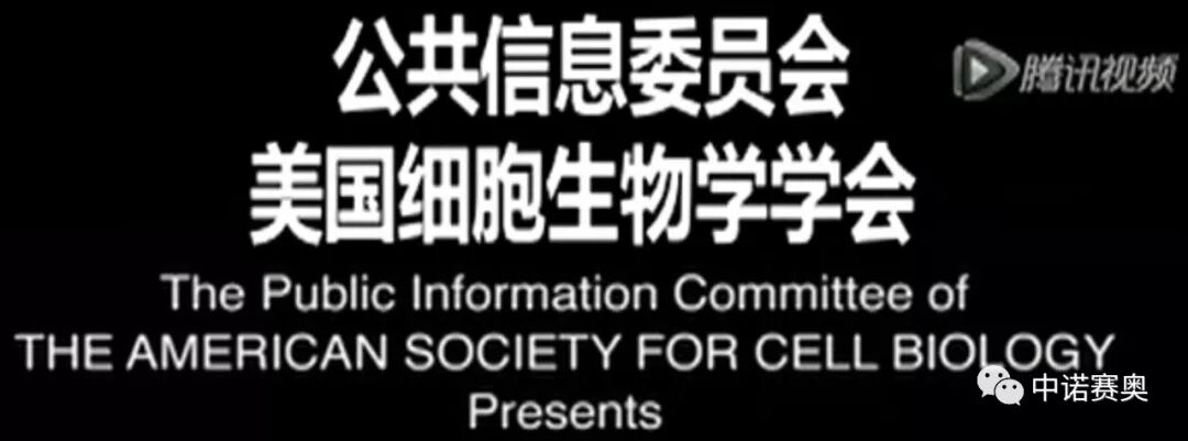 人体免疫细胞杀死癌细胞的过程 美国细胞生物学学会发布 中诺赛奥 微信公众号文章阅读 Wemp