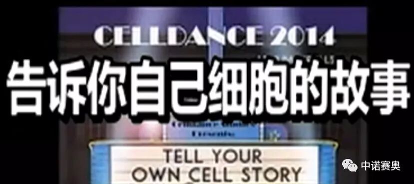 人体免疫细胞杀死癌细胞的过程 美国细胞生物学学会发布 中诺赛奥 微信公众号文章阅读 Wemp