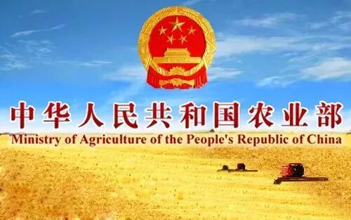 不該禁養的不能禁！中紀委：盲目禁養和野蠻拆遷，違法請舉報