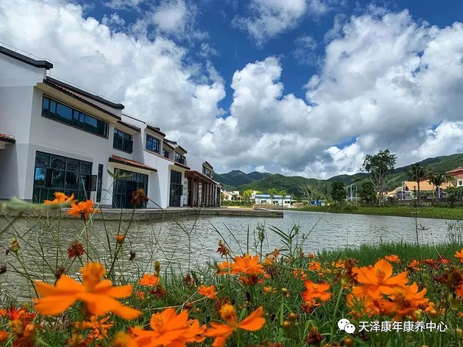 海南三亞康養公寓價格 | 性價比高,環境優美,吃住放心-海南旅居資訊