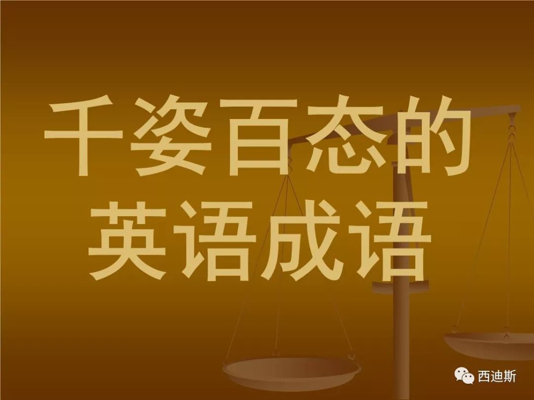 翻译者 100条英语成语 读懂世界 看清人生 赶紧收藏 西迪斯 微信公众号文章阅读 Wemp