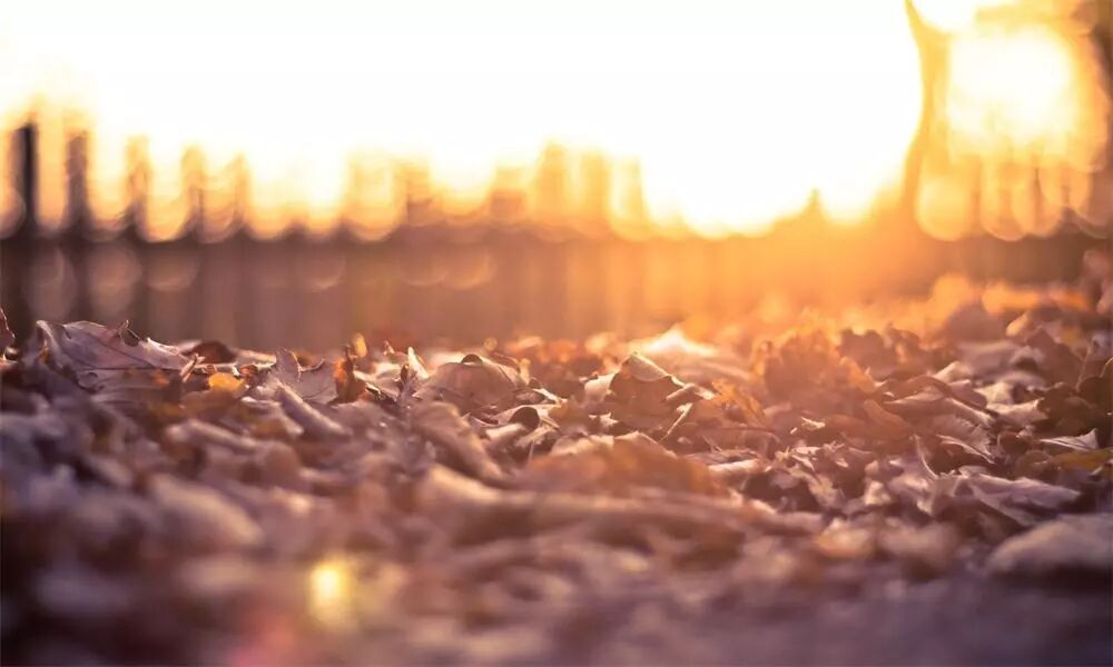 早听：聪明人，一辈子三不问，深度好文