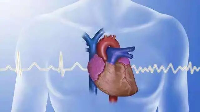 动态心电怎么拆科普新知 ｜ 心脏嘭嘭乱跳心电图却没问题？还得这么查_https://www.jmylbn.com_新闻资讯_第3张