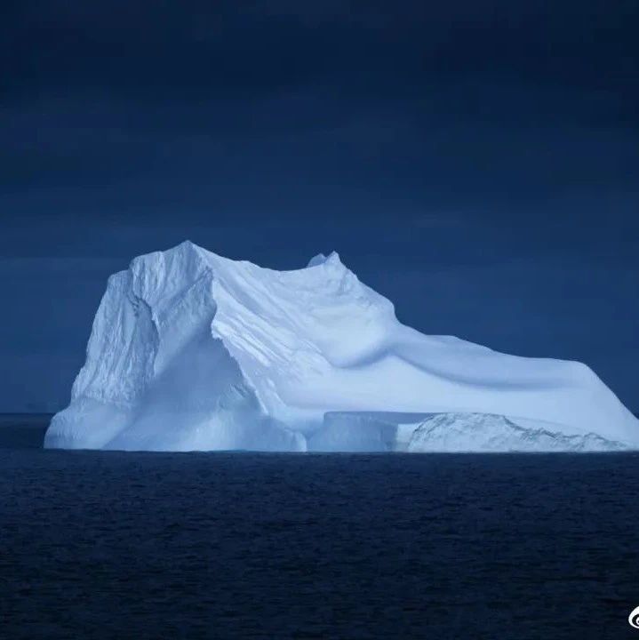 摄影师Andrew Studer南极部分作品