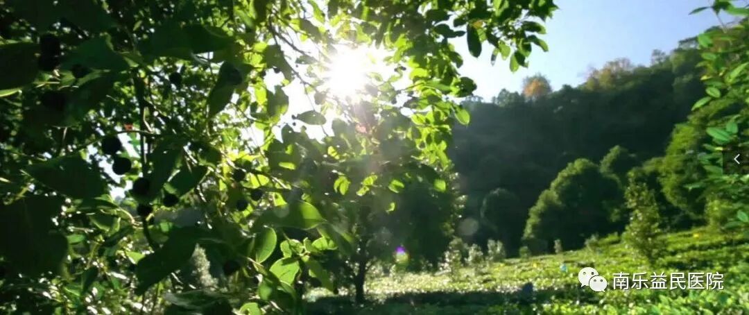 日本光电血球仪怎么样健康好礼--益民医院健康体检中心带您了解健康体检新知识！_https://www.jmylbn.com_新闻资讯_第3张