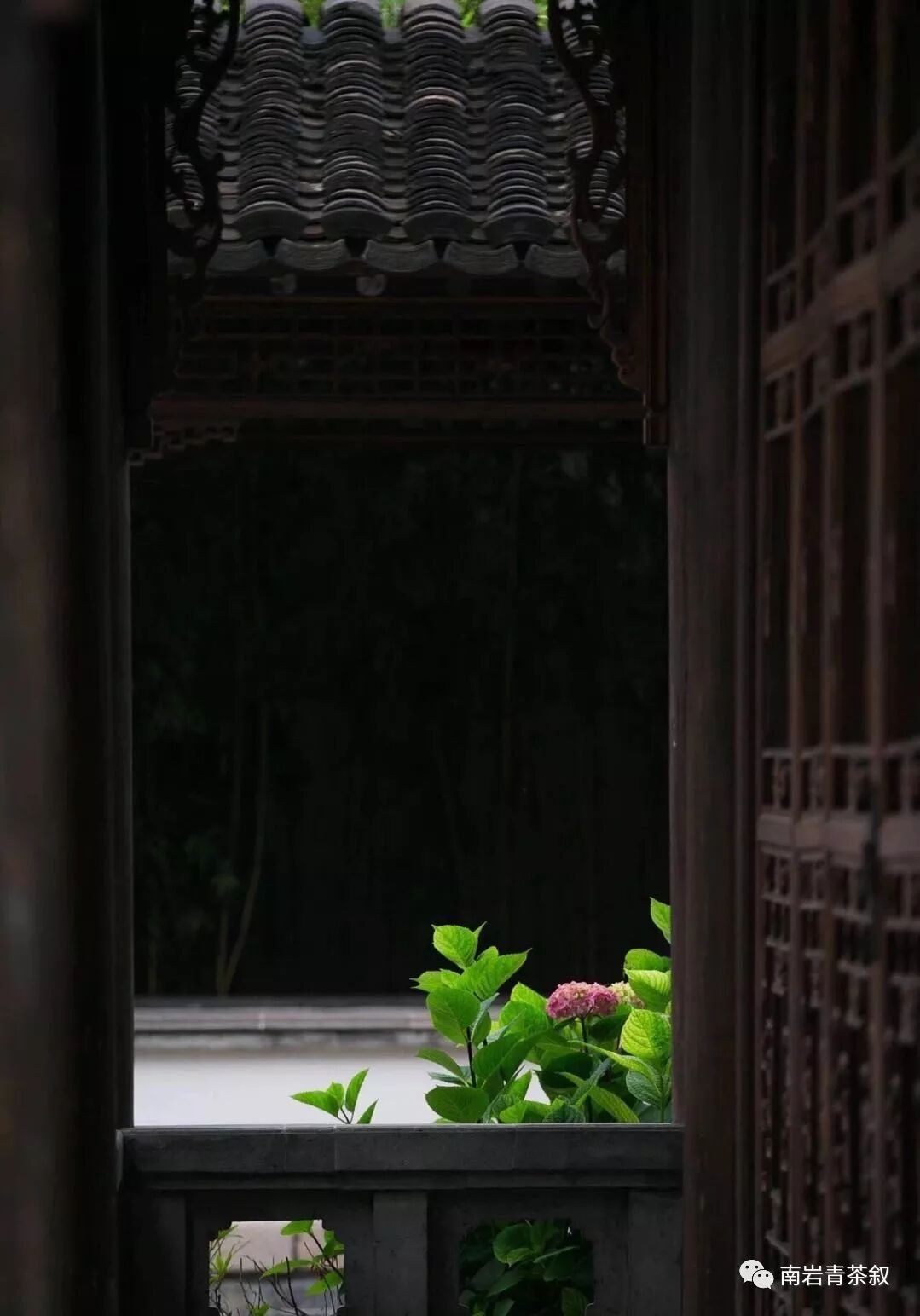 狂言袴 二 寻访千利休 南岩青茶叙 微信公众号文章阅读 Wemp