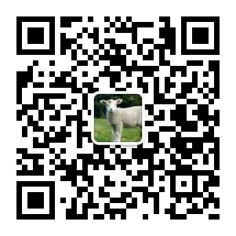 我为什么鼓励有条件的移民和我为什么选择新西兰