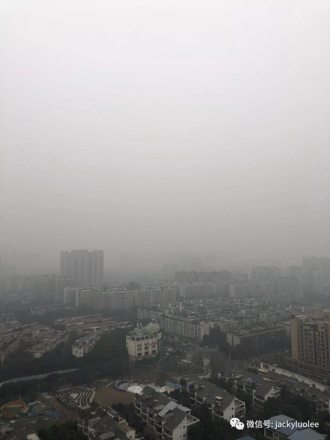 我为什么鼓励有条件的移民和我为什么选择新西兰