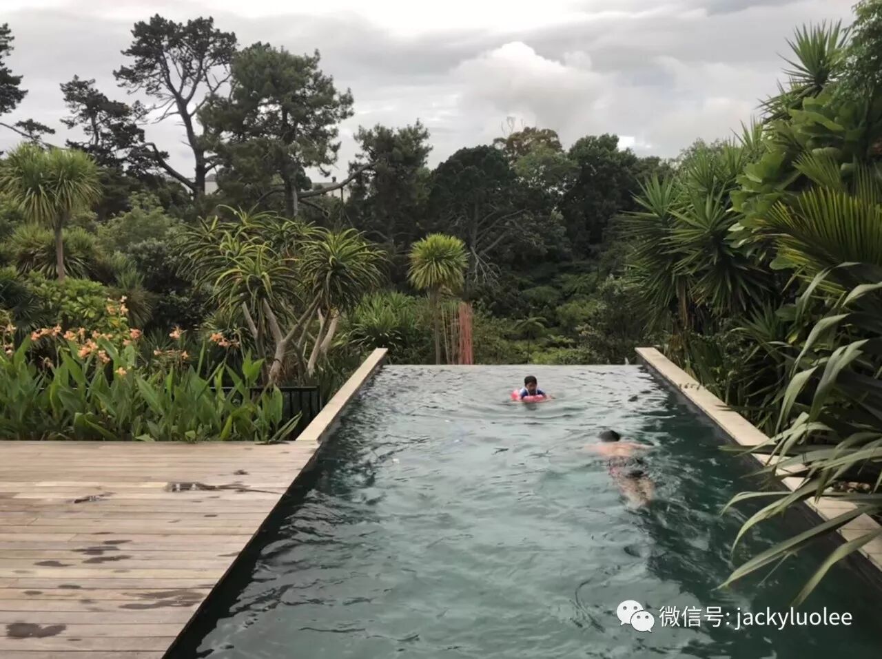 我为什么鼓励有条件的移民和我为什么选择新西兰