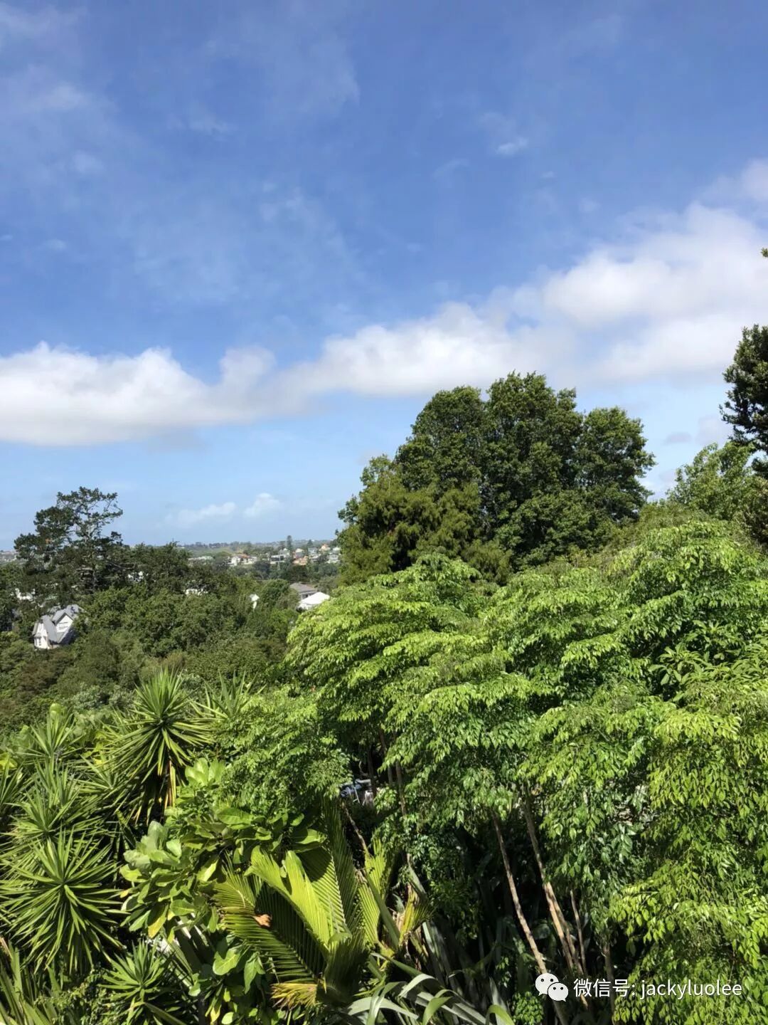 我为什么鼓励有条件的移民和我为什么选择新西兰