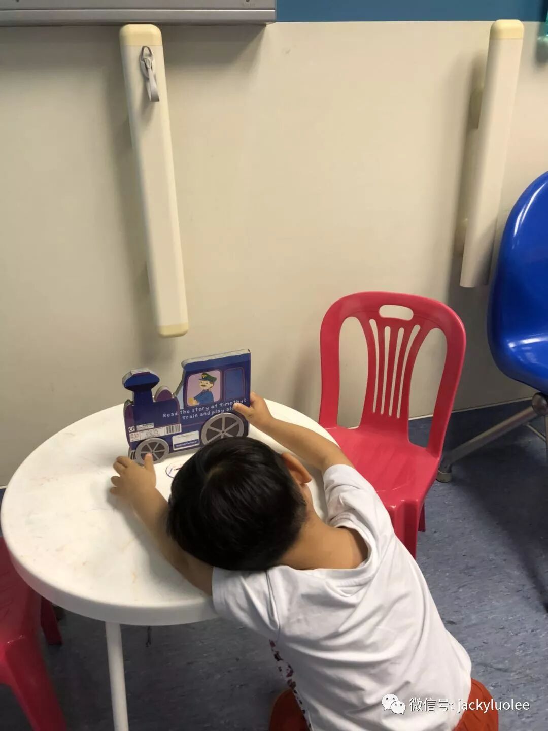 我为什么鼓励有条件的移民和我为什么选择新西兰