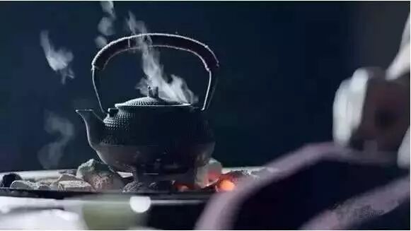 老白茶要煮？竟然白喝了这么多年！