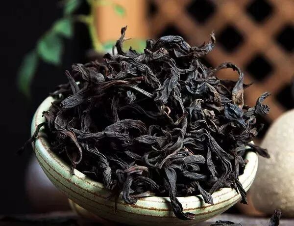 水金龟_金龟水溶肥_金龟水溶肥绿元素是什么