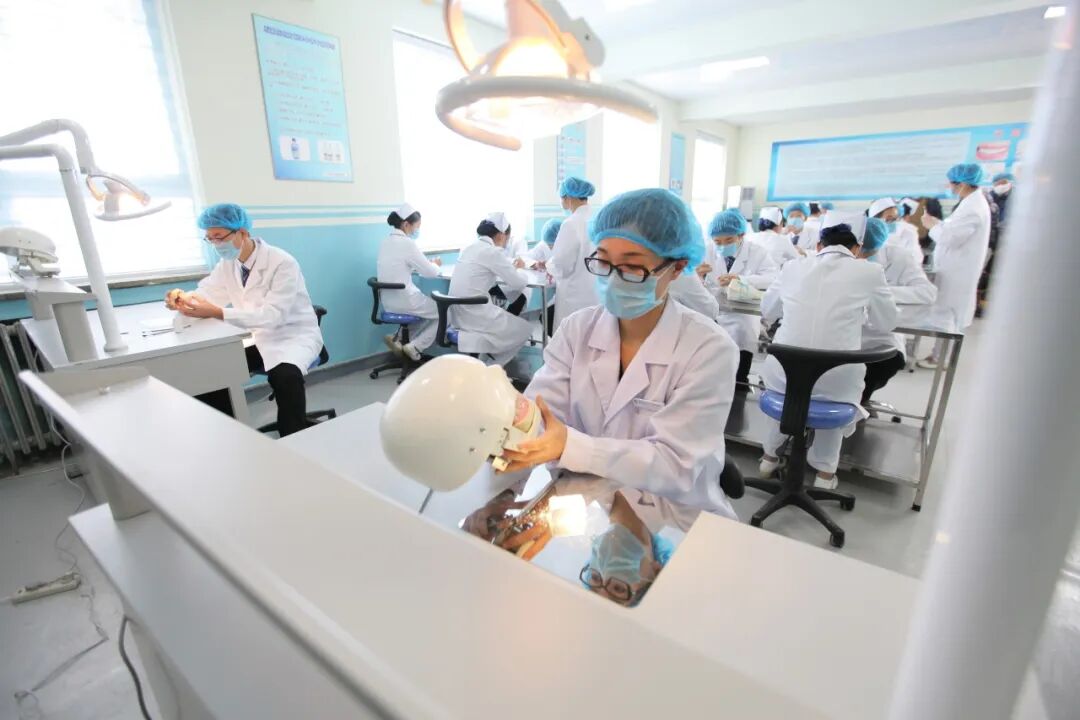 石家庄北方医学院口腔医学.png