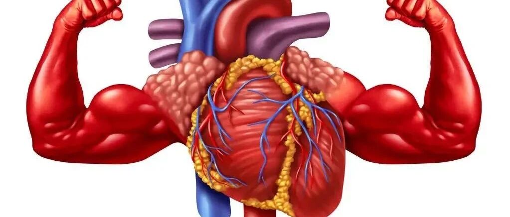 早读 | 心源性休克的紧急处置及护理措施