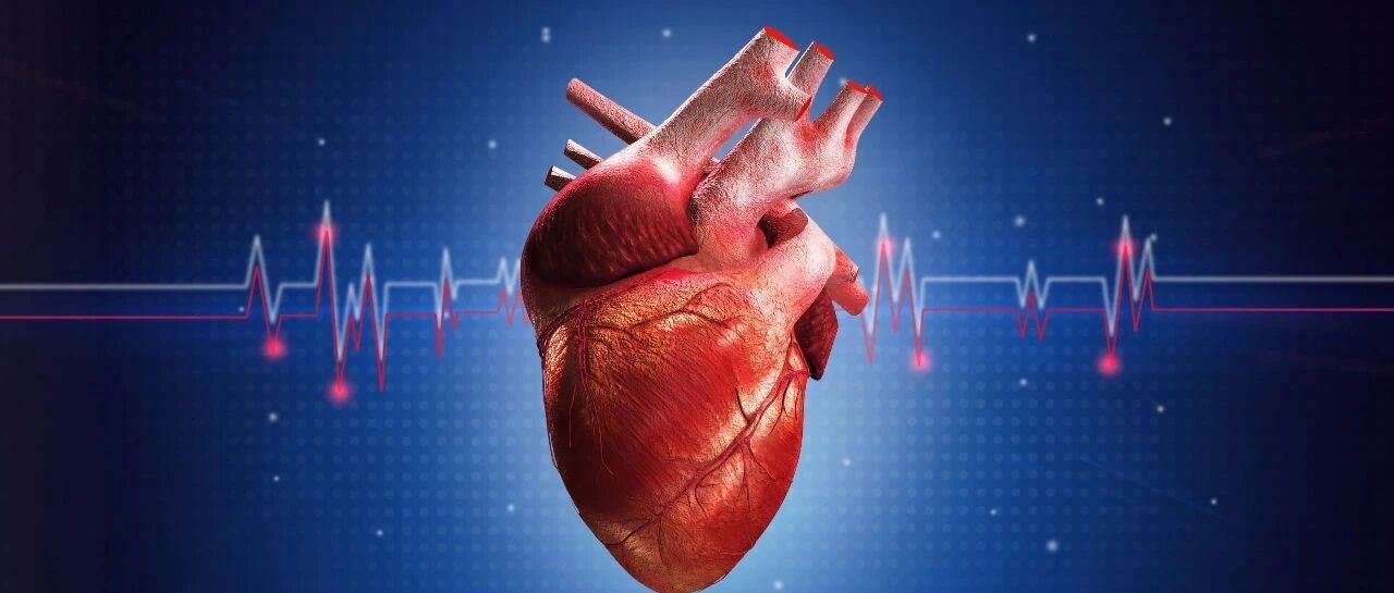 早读 | BNP、NT-proBNP 傻傻分不清楚？一文细说不同！