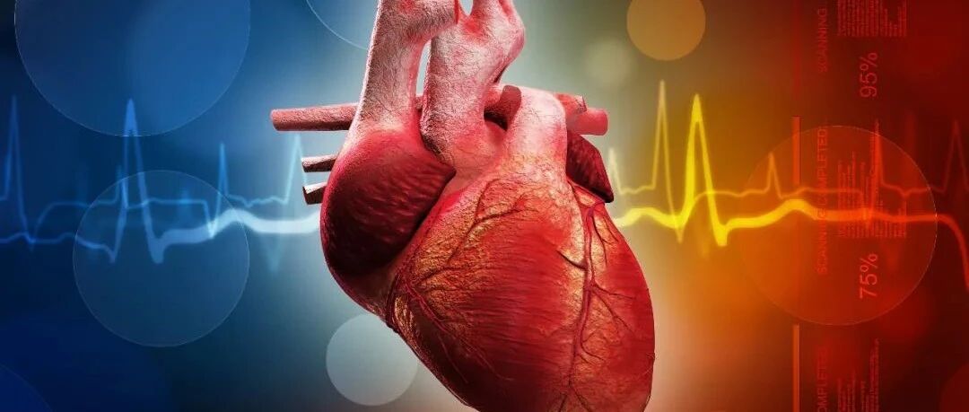 早读 | 冠脉解剖与CTA，多图好记！这篇一定要收藏