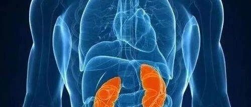 早读 | 别光想着他汀，引起横纹肌溶解的原因多了去了