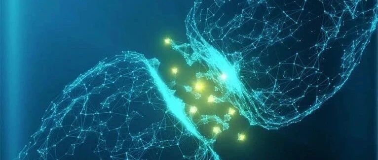 早读 | 肾上腺素 VS 去甲肾上腺素，傻傻分不清？