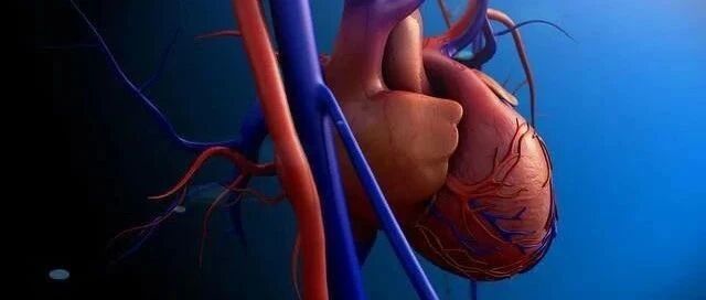 早读 | 超全珍藏版！冠脉造影从流程到诊断，基础必备！