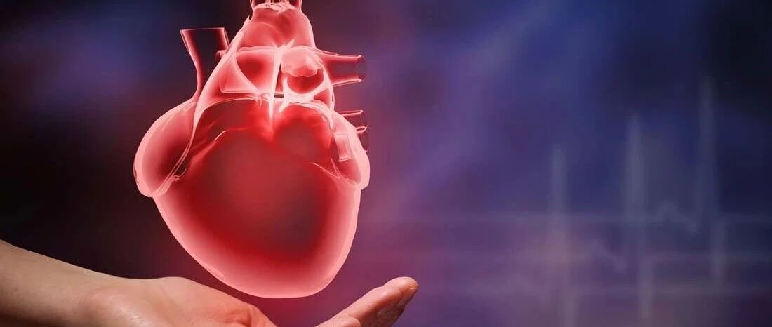 早读 | 掌握肥厚型心肌病，教科书都没写这么全！