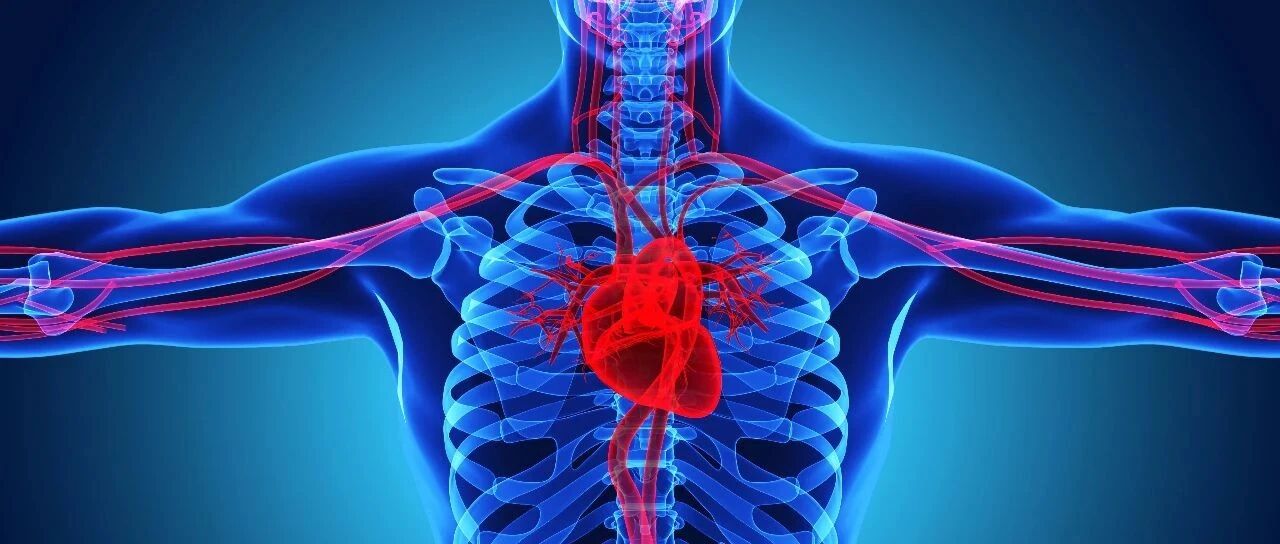 早读 | 精彩图解：血流动力学基本原理，值得收藏！