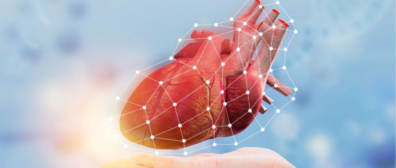 早读 | 伊伐布雷定怎么用？这份详细使用攻略请收下！