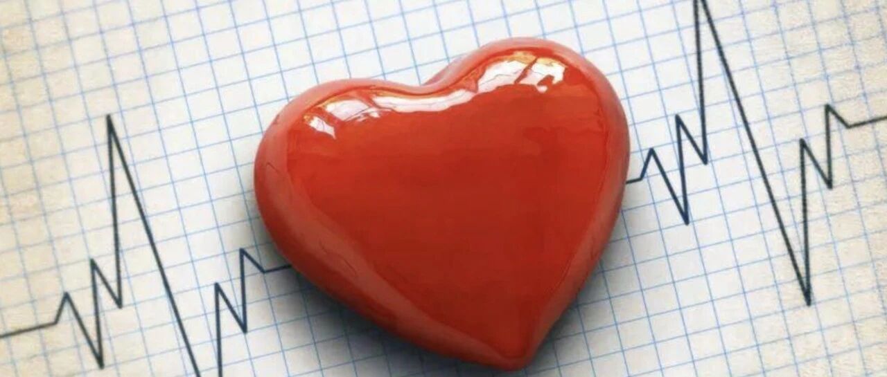 早读 | 各种令人头大的心电概念，这篇总结的太全了！