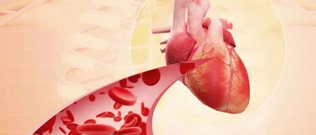 早读 | 临床血流动力学监测原来这么简单！