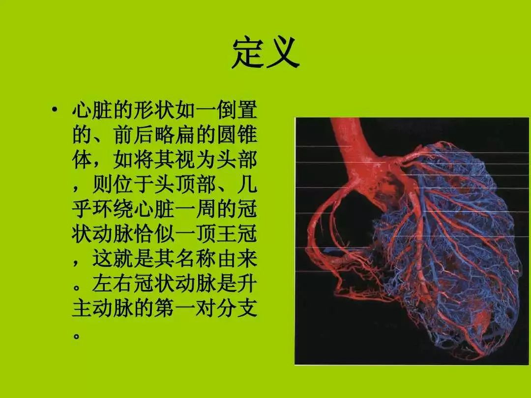 收藏/ 最詳細冠狀動脈解剖、分段及相關疾病診斷！ 健康 第4張