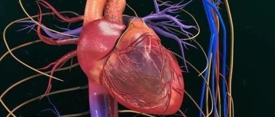 早读 | 从零开始，教你全面剖析冠脉造影结果！