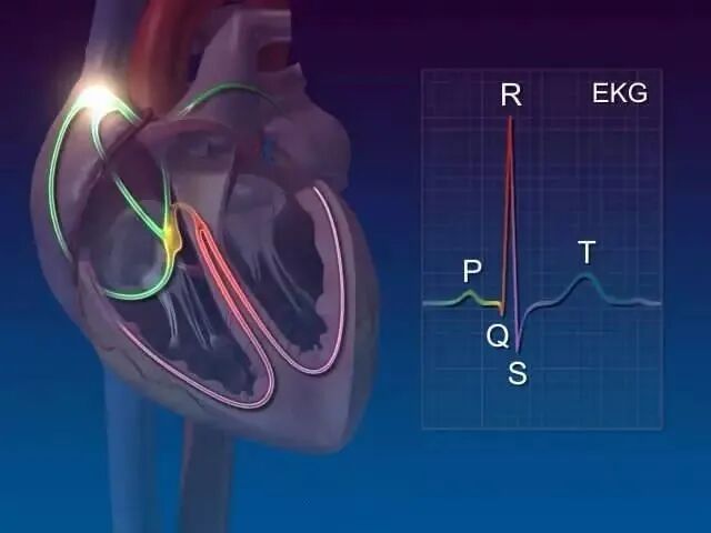 早读 | 太珍贵了！心血管疾病图谱合集，心内科医生赶紧收藏！