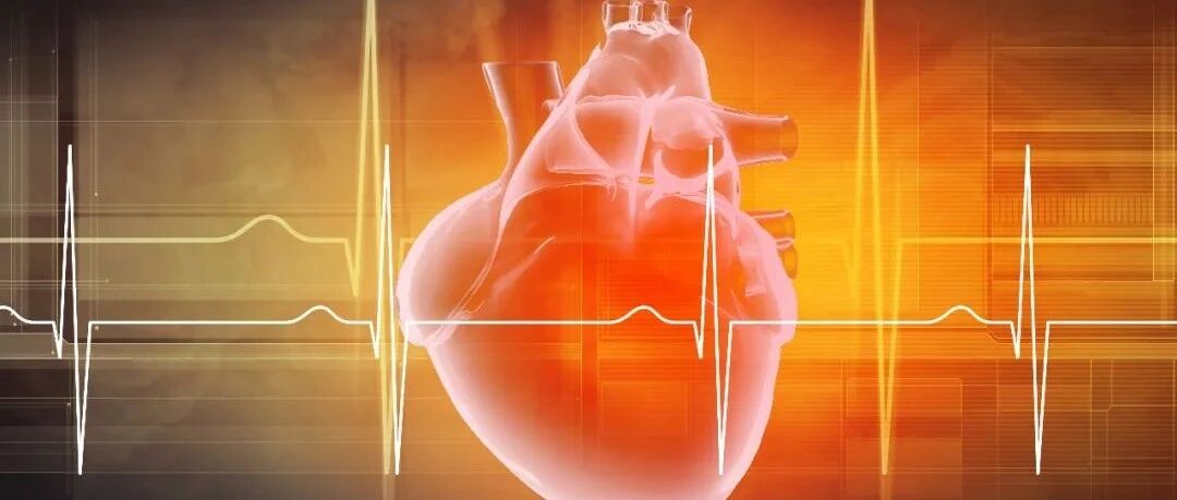 早读 | 心电向量：基本原理及临床应用，一文掌握！