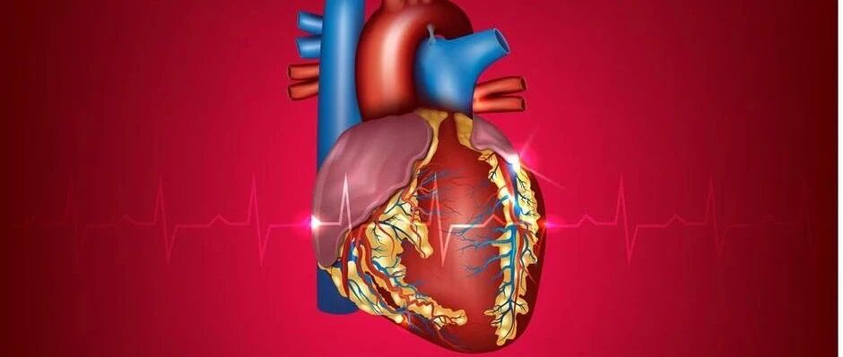 早读 | 室早与心动过速性心肌病，要点一文总结