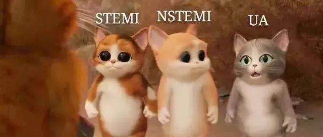 早读 | 从没有一个比喻把冠心病讲地这么清楚！