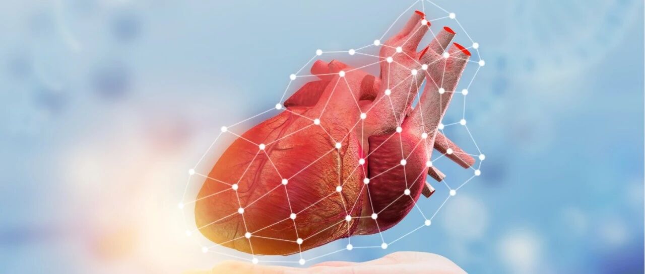 2021版中国心血管健康指数发布！最新排名你 get 了吗？