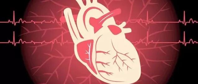 早读 | 缓慢、慢快、快慢，病窦综合征的分型把我绕晕了……