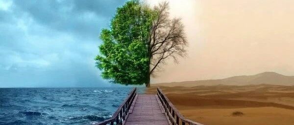 早读 | 起效or中毒？洋地黄制剂应用的结局只在一线之间！