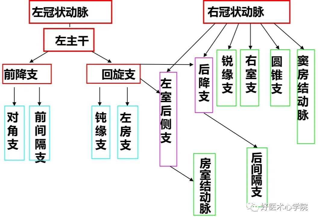 造影导丝是什么珍藏 冠脉造影从流程到诊断，基础必备！_https://www.jmylbn.com_新闻资讯_第8张