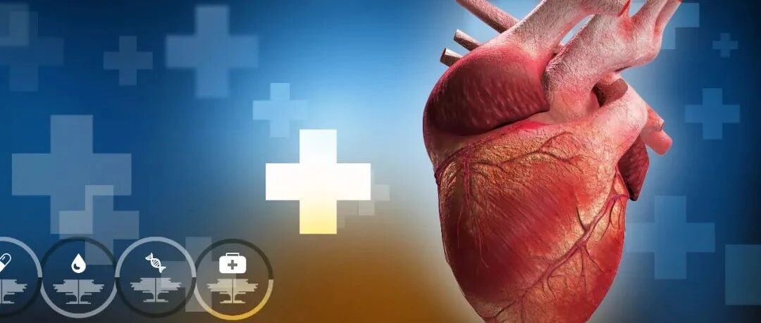 早读 | 心血管系统的常见7大超声影像，你掌握了吗？