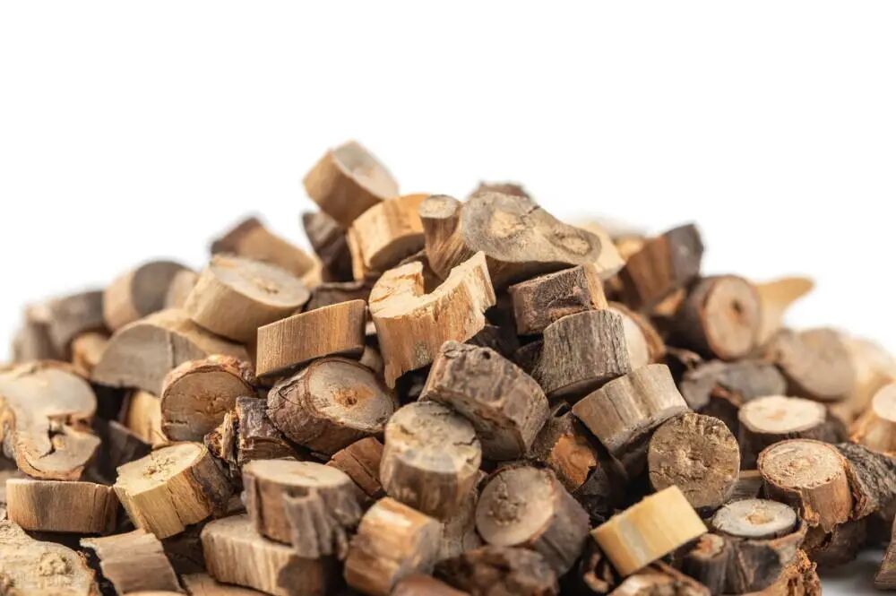 神奇的中药——桂枝