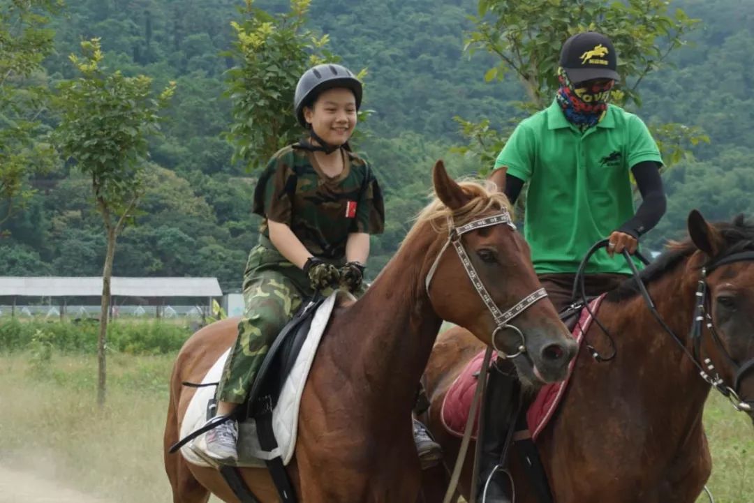 路飞手掌岛冒险_冒险岛战神技能_斗战神圣僧技能技能书