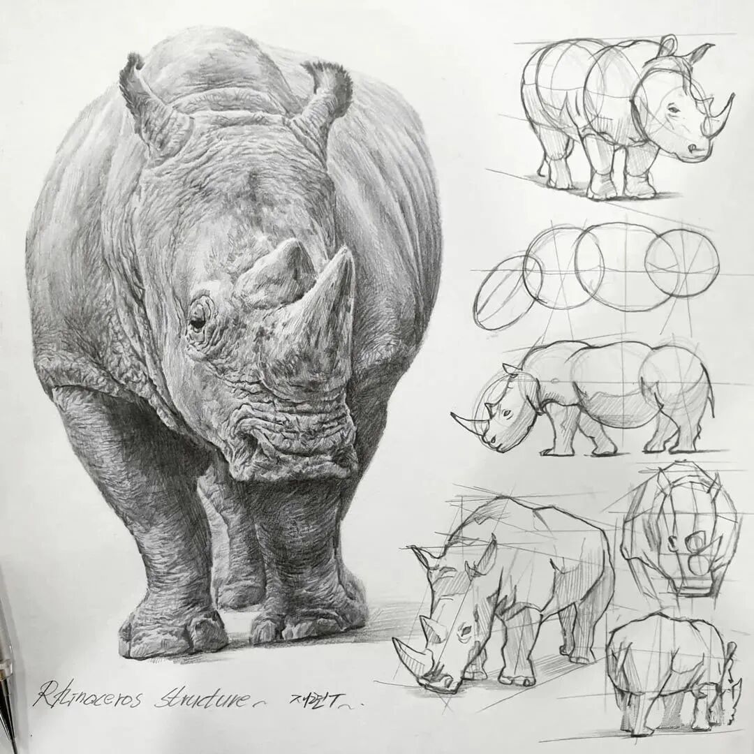 一位美术教师的日常素描(图17)