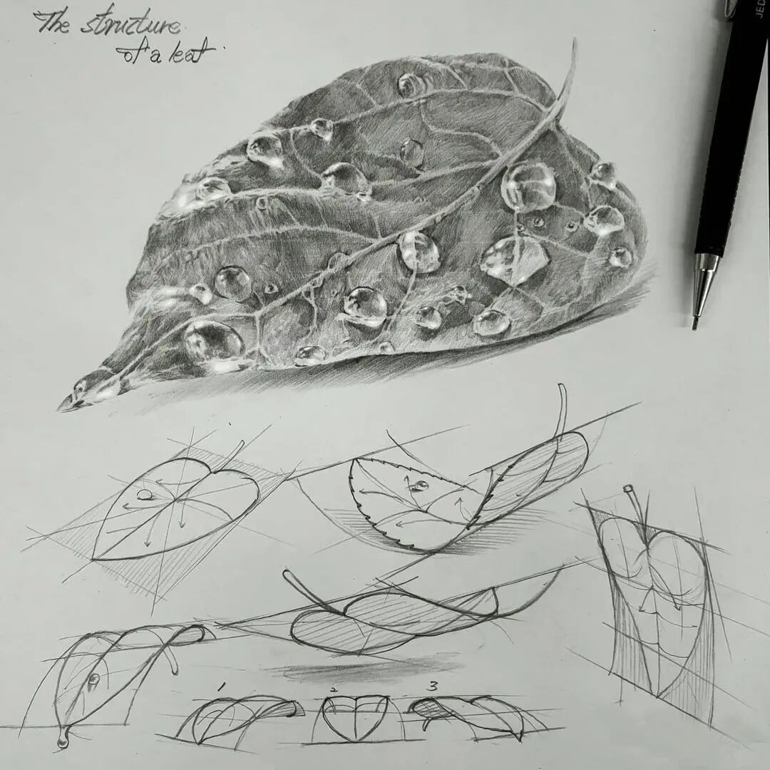 一位美术教师的日常素描(图12)