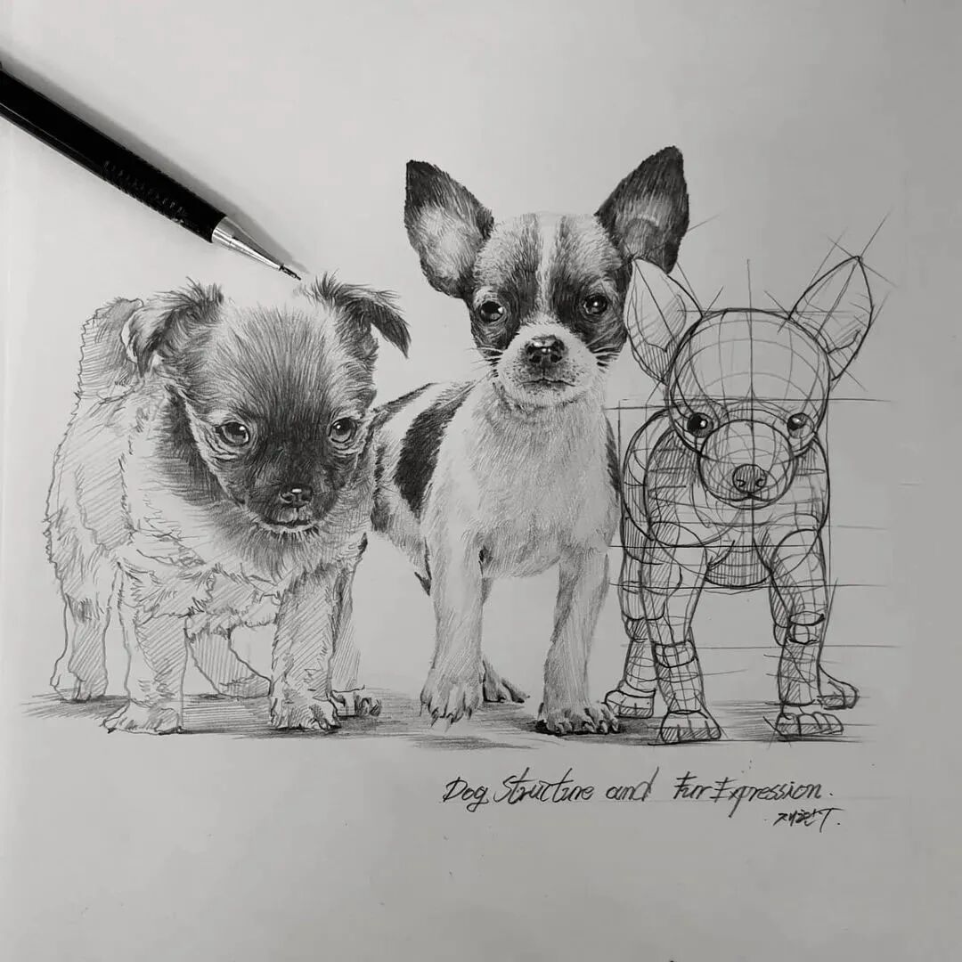 一位美术教师的日常素描(图22)