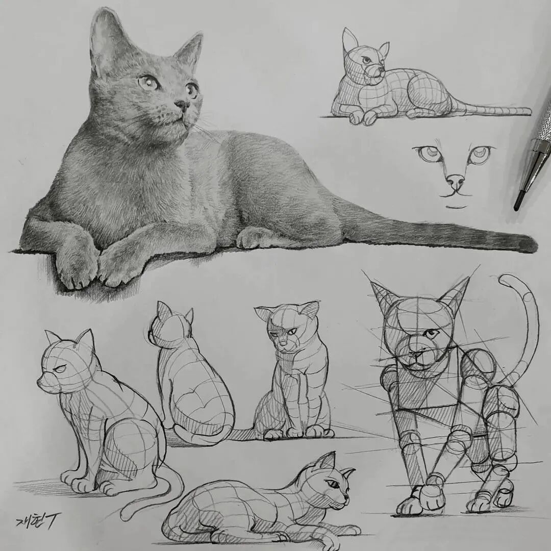 一位美术教师的日常素描(图20)