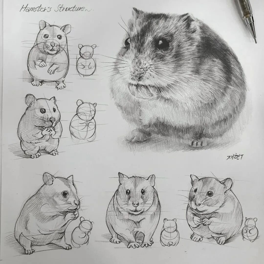 一位美术教师的日常素描(图16)